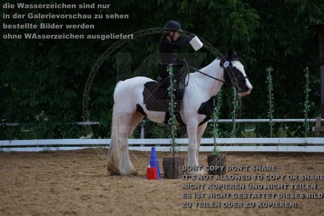 s_K3F06036.JPG